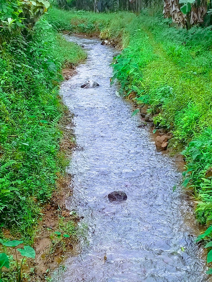 stream...