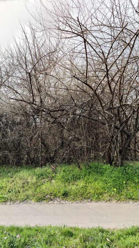 environment