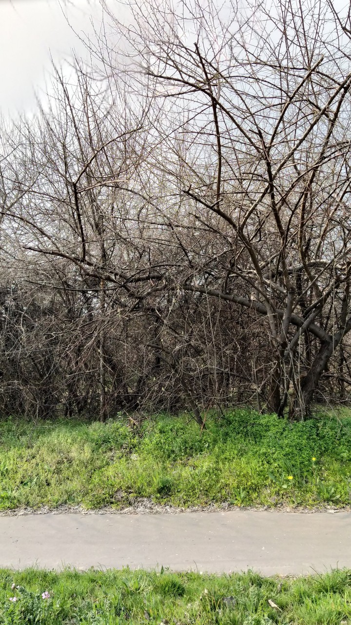 environment