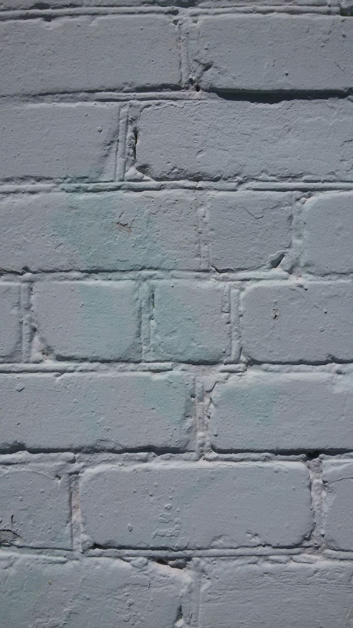 the wall