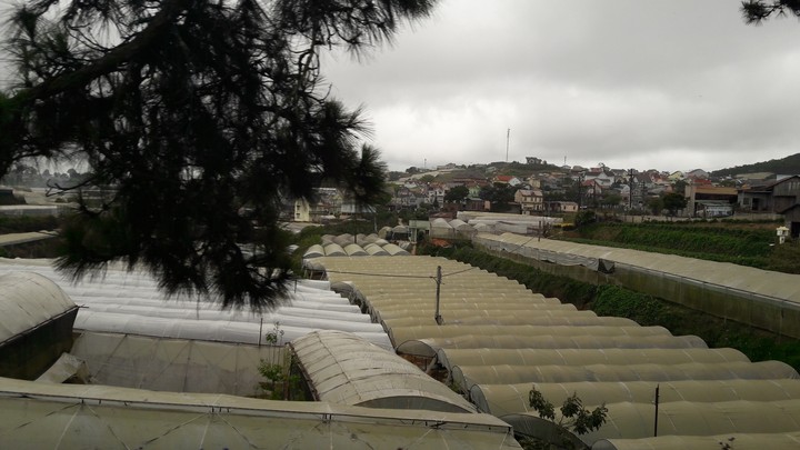 Farm