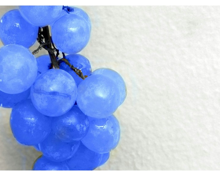 Blue grapes.