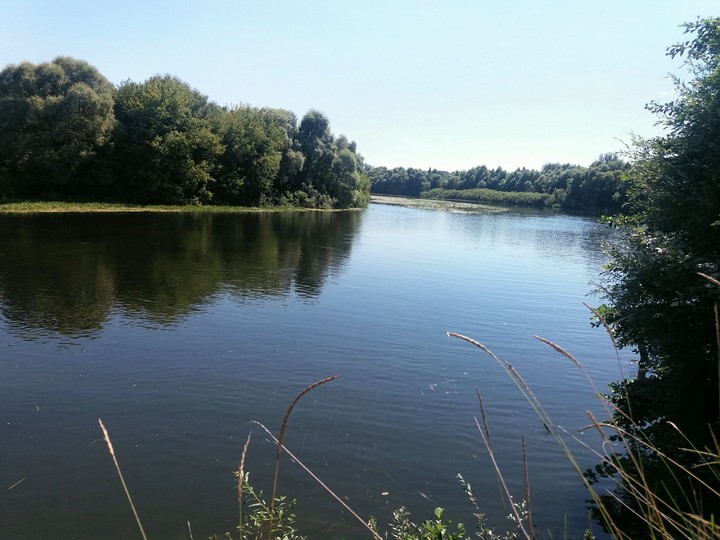 nature