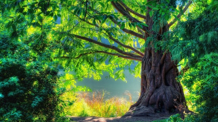 Nature