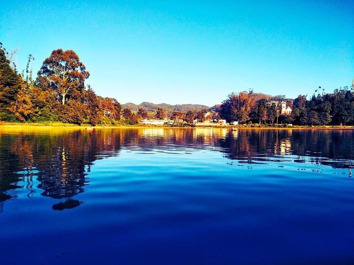 Ooty lake