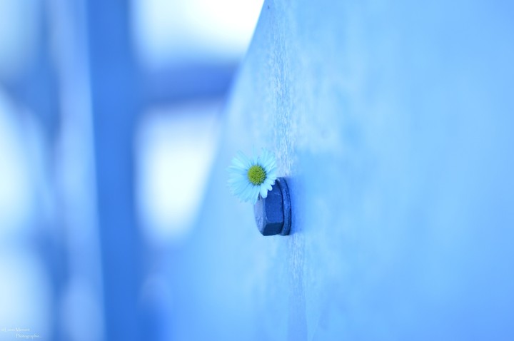 Alone...