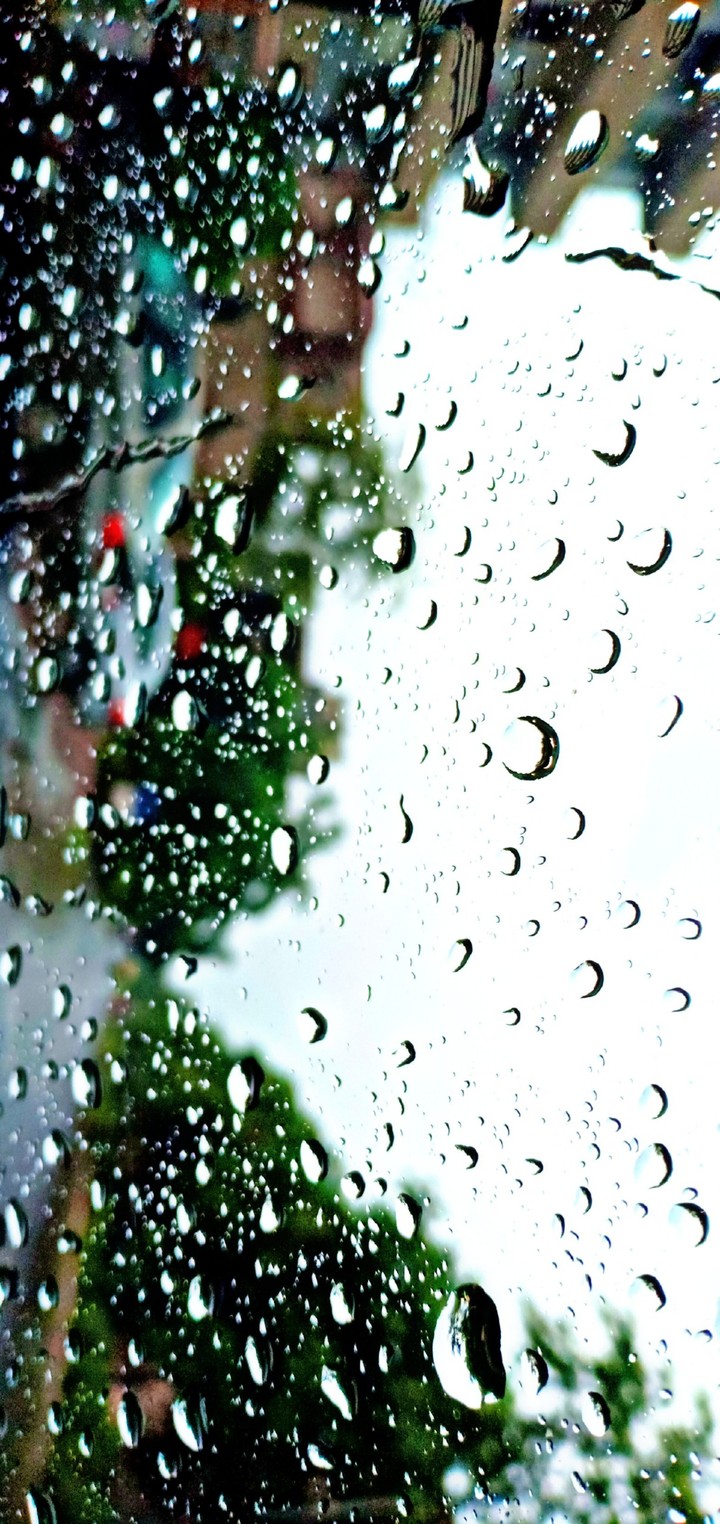 Rain