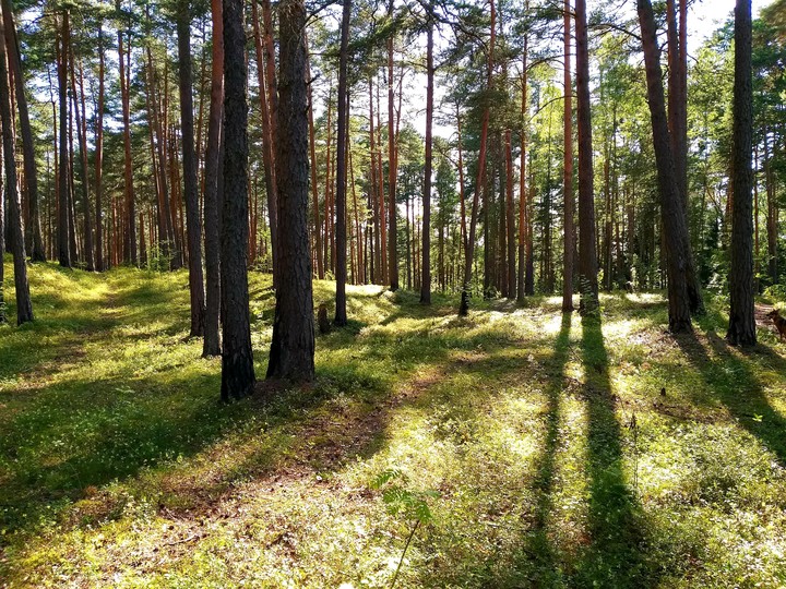 14.07.2019 г.