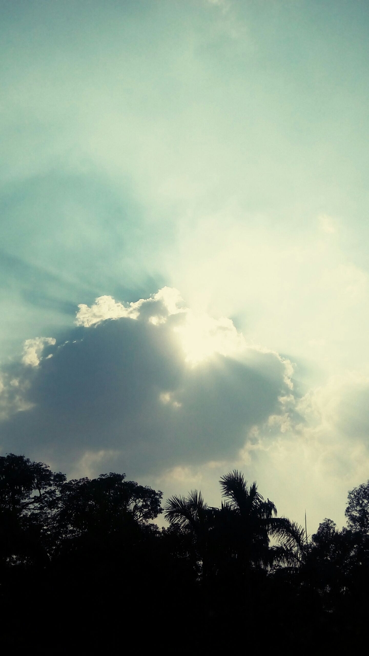 SUNLIGHT