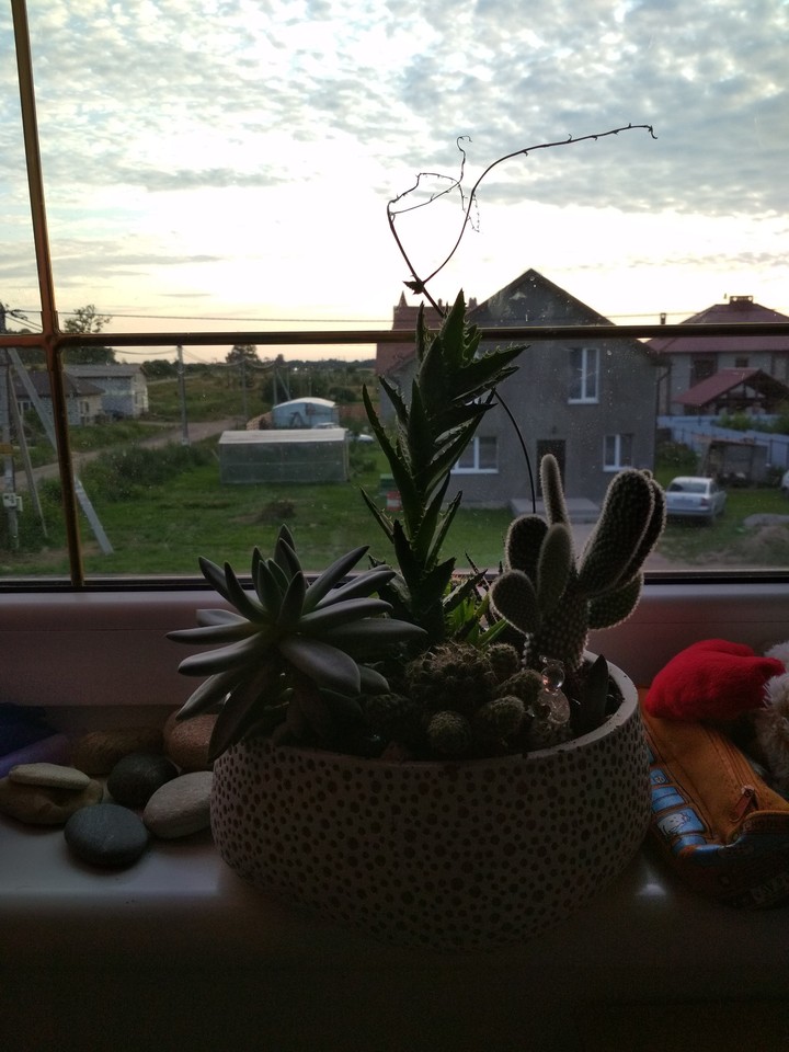 эстетика