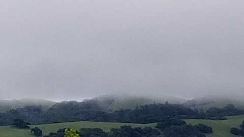 my everyday view