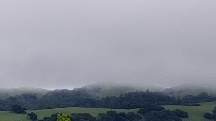 my everyday view
