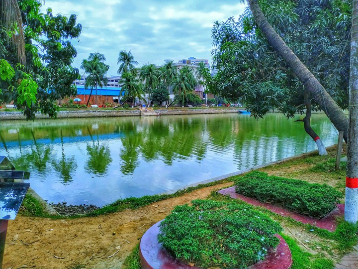 The Nature