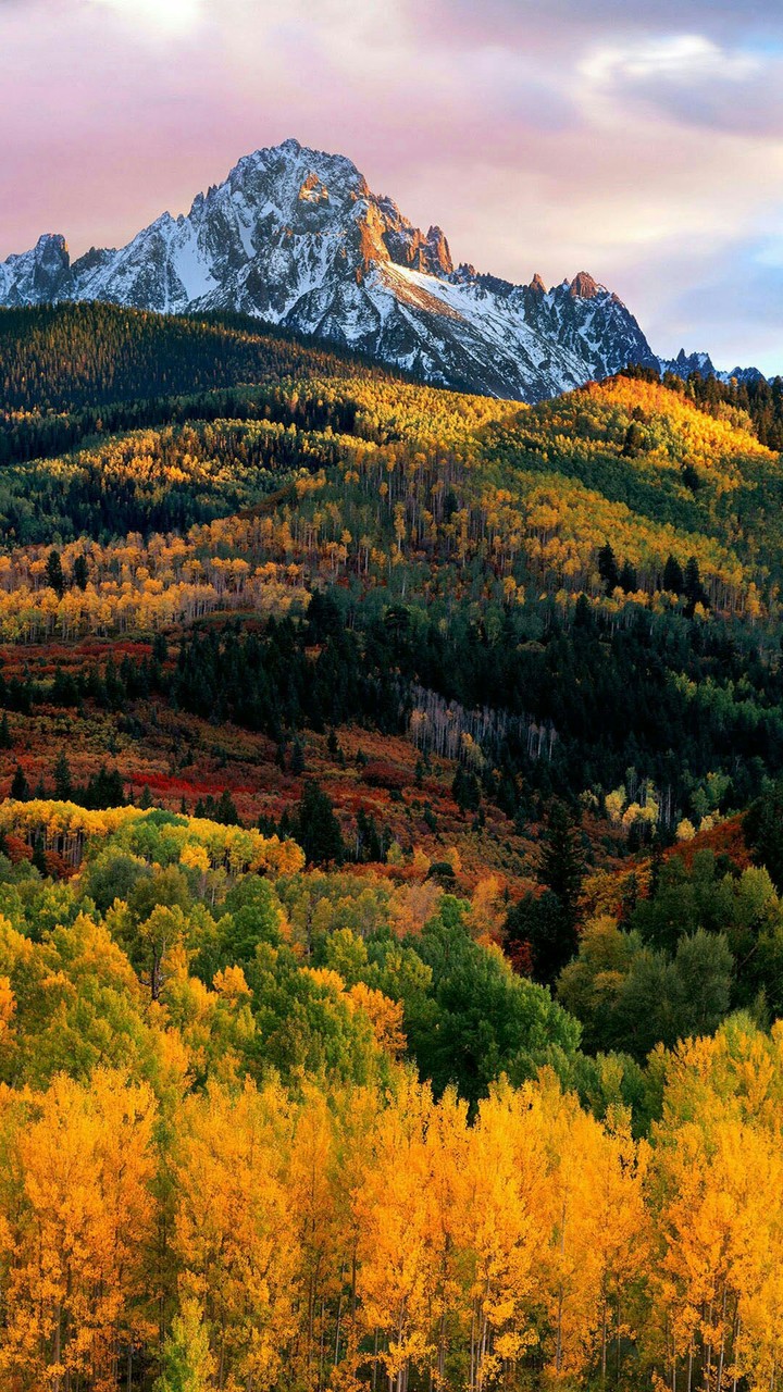 Green and Yellow