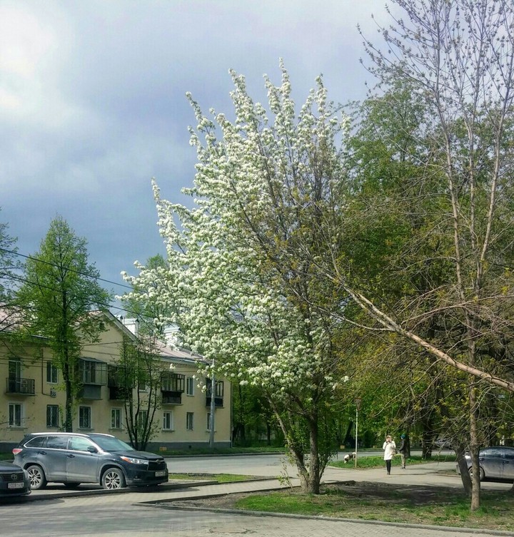 Весна