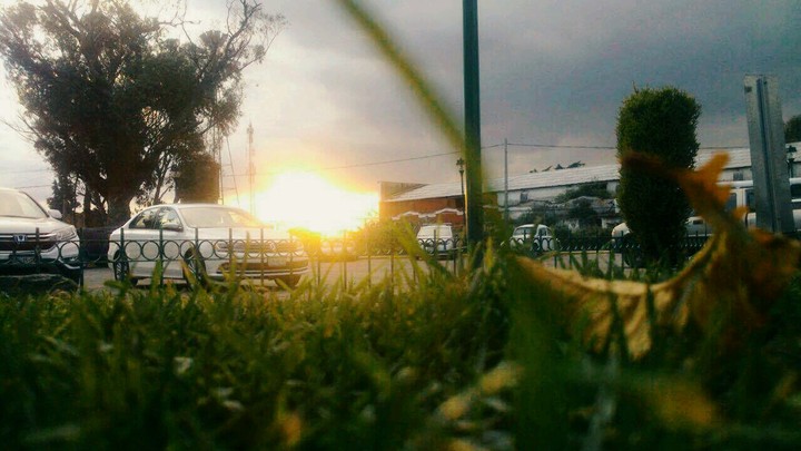 The sun