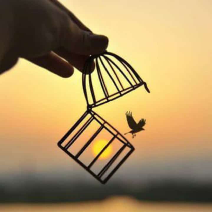 Azad Panchi