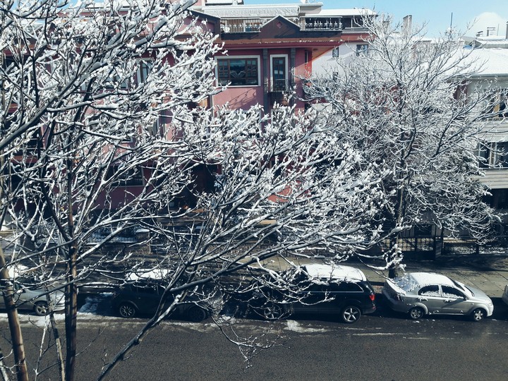 karın ilk günü