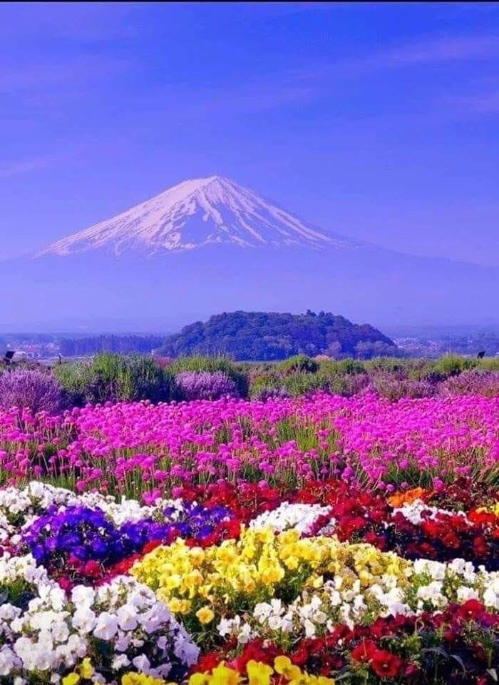 Armenia