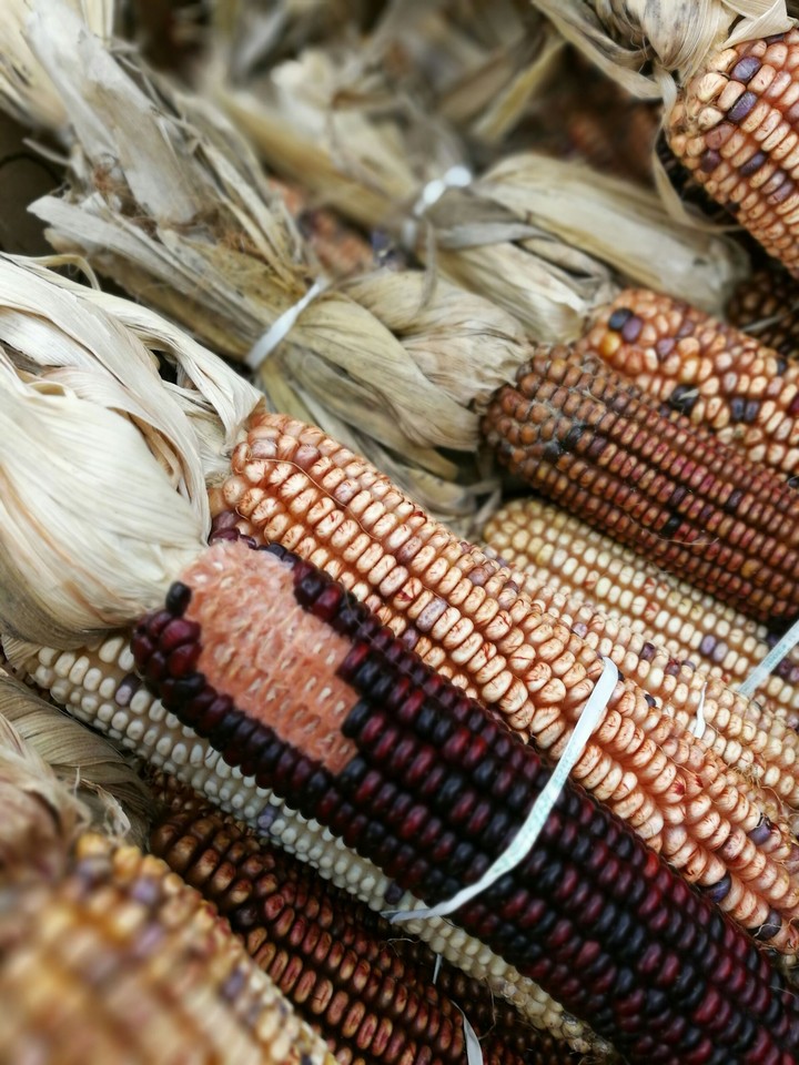 Yummy Corn