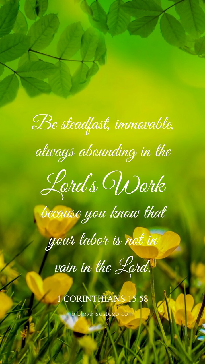 Be Steadfast