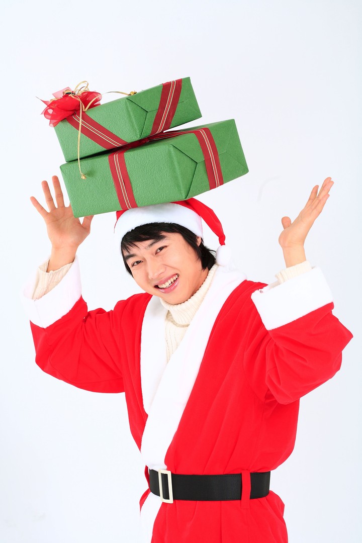 Christmas Costume