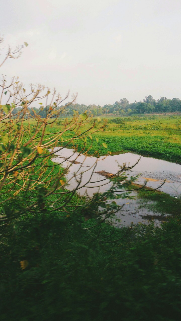 fall in love with nature
