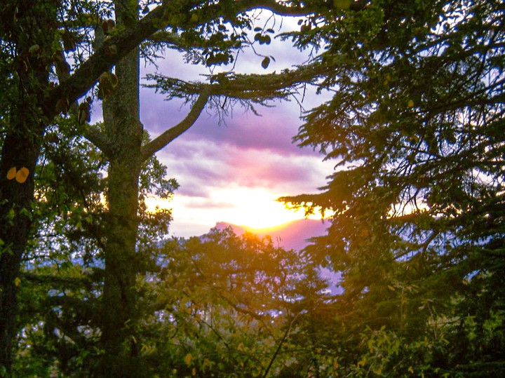 sunsetlovers