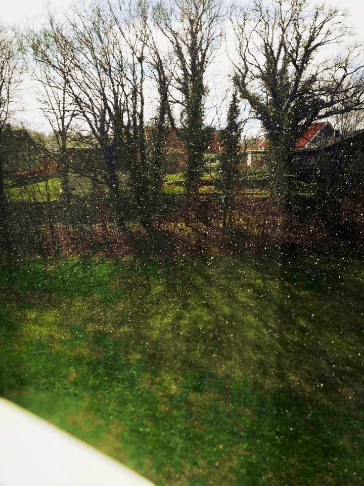 rain