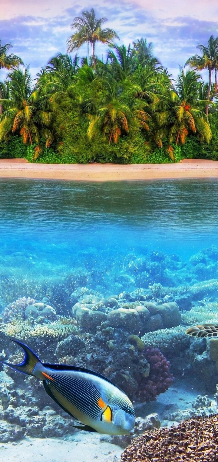 Sea