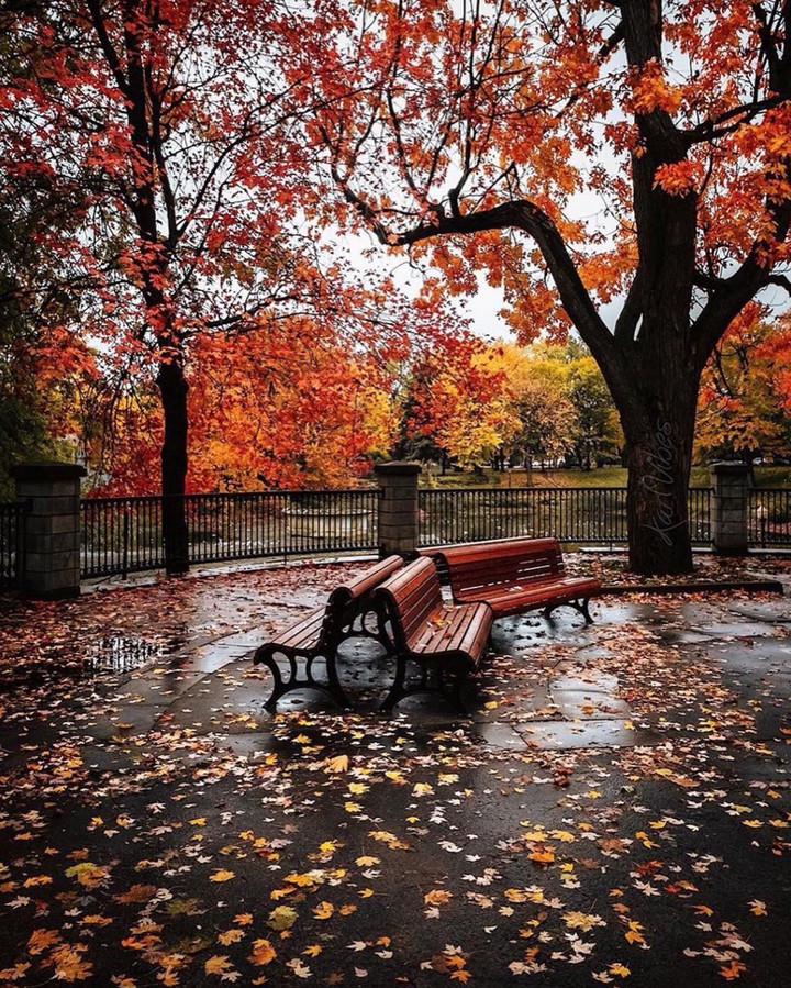 Autumn