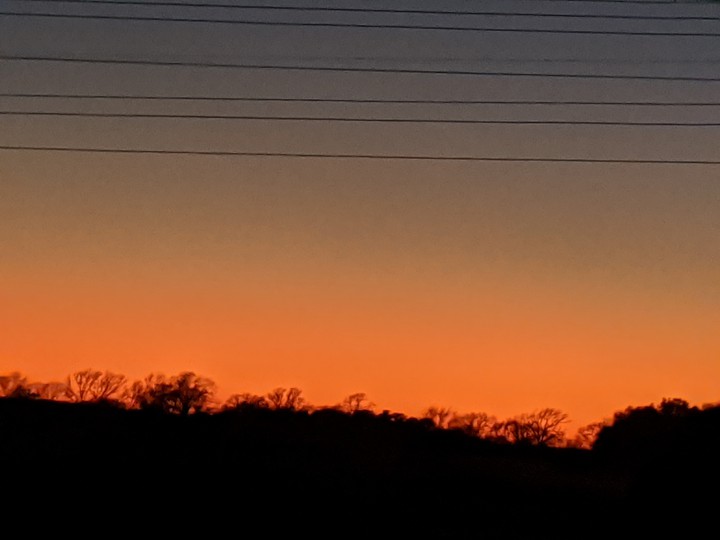Texas