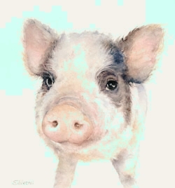 My piggy pic!