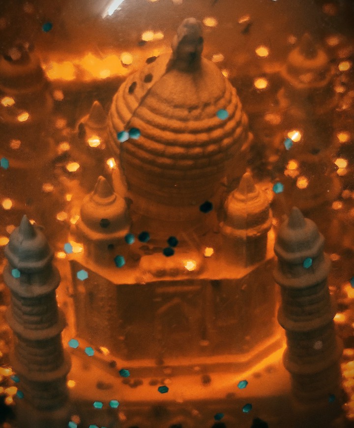 ✧༺♥༻✧ TAJ MAHAL｡.｡:∞♡*♥