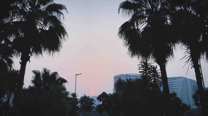 Dawn