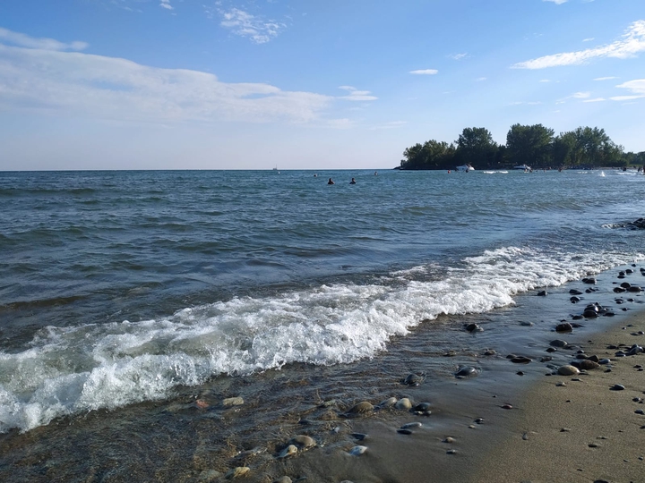 sea