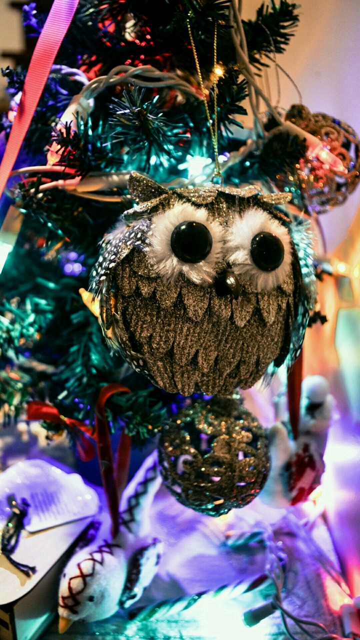 new Year
