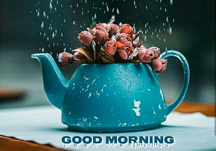 Goodmorning