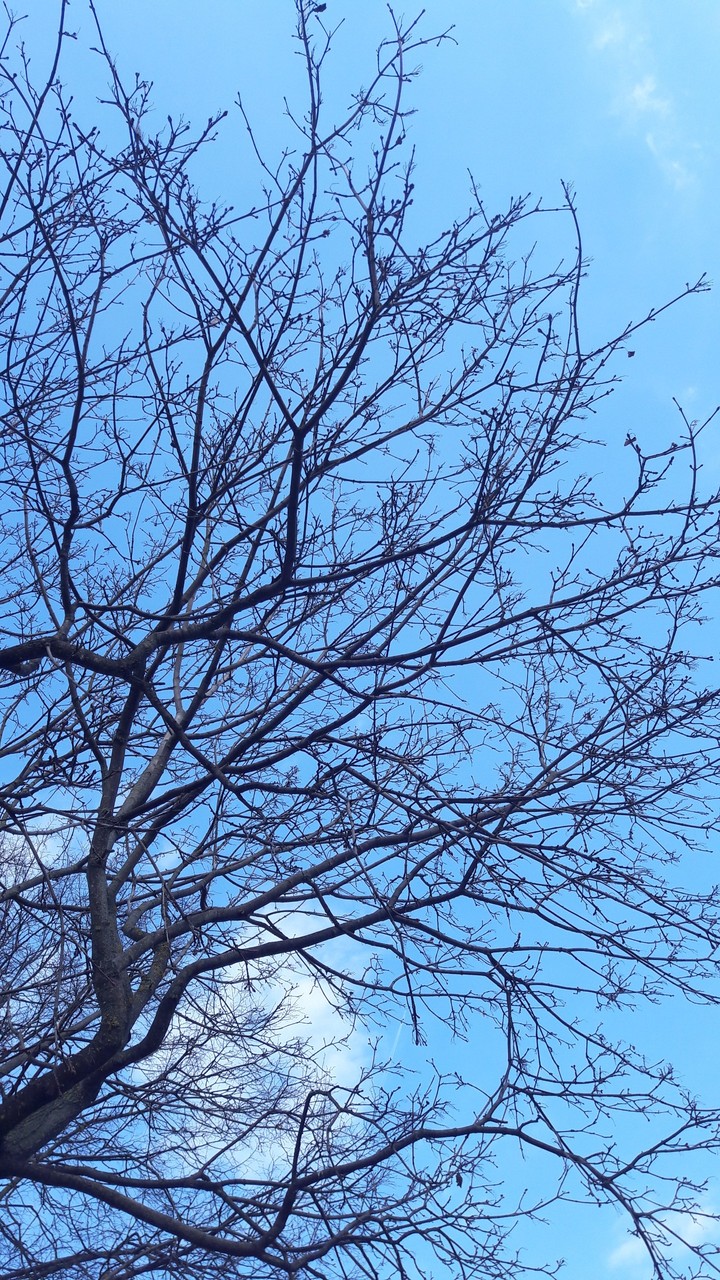 Небо | Sky