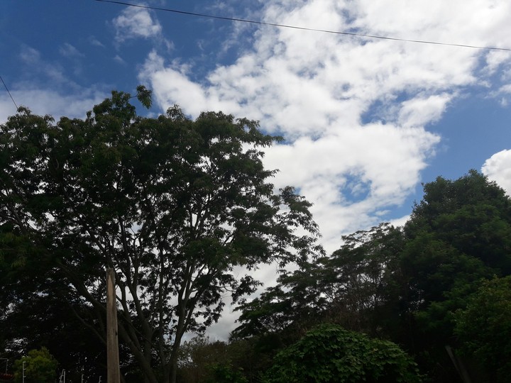 Uberlândia / MG