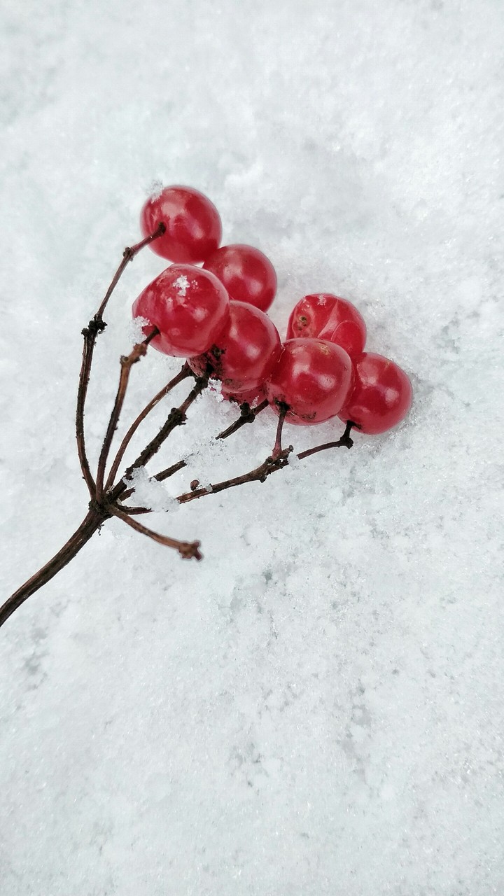 Ukrainian winter in autumn