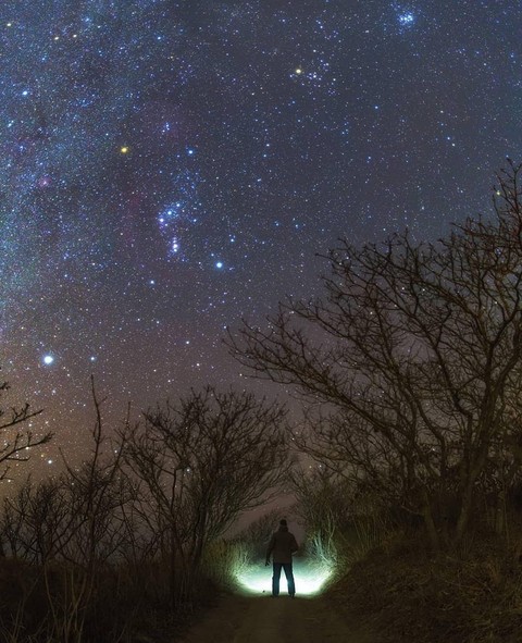 Alone in the dark