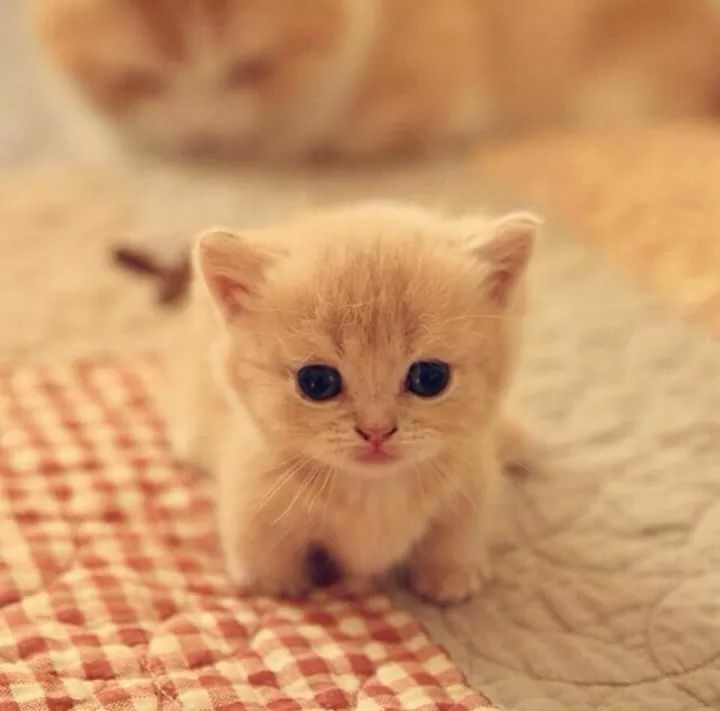 "So cute"