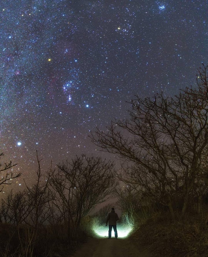 Alone in the dark