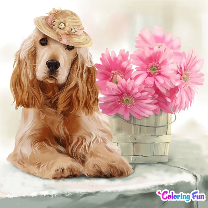 perro y flores.