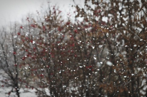 snow