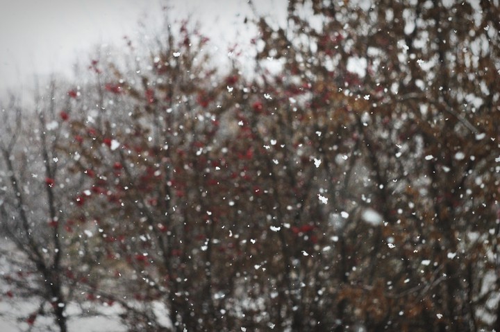snow