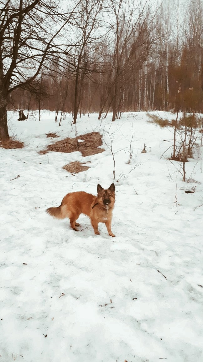 Russia