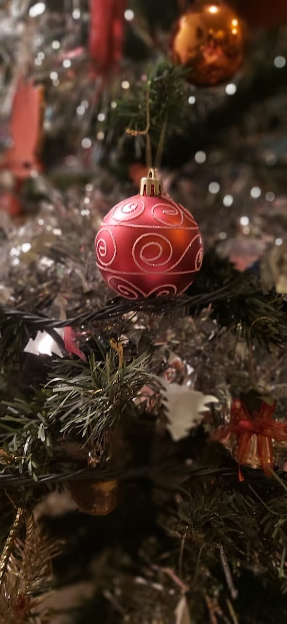 Christmas at home