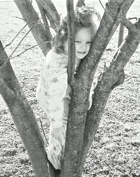 Mamaw's tree climber